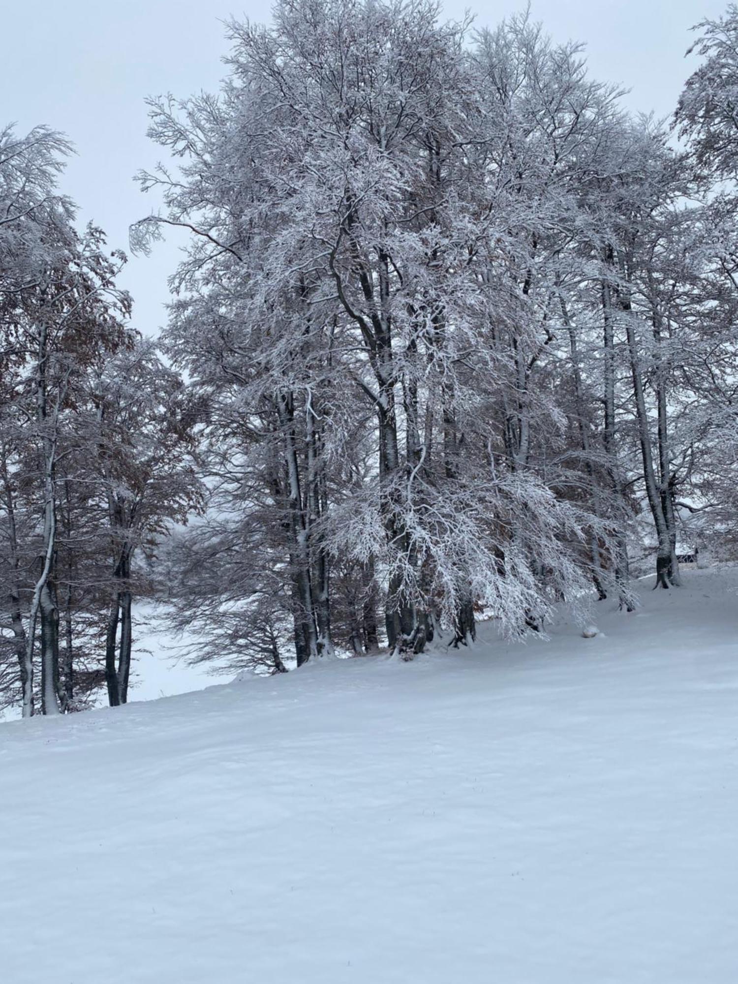 Vikendica Aleksandra Žabljak Extérieur photo
